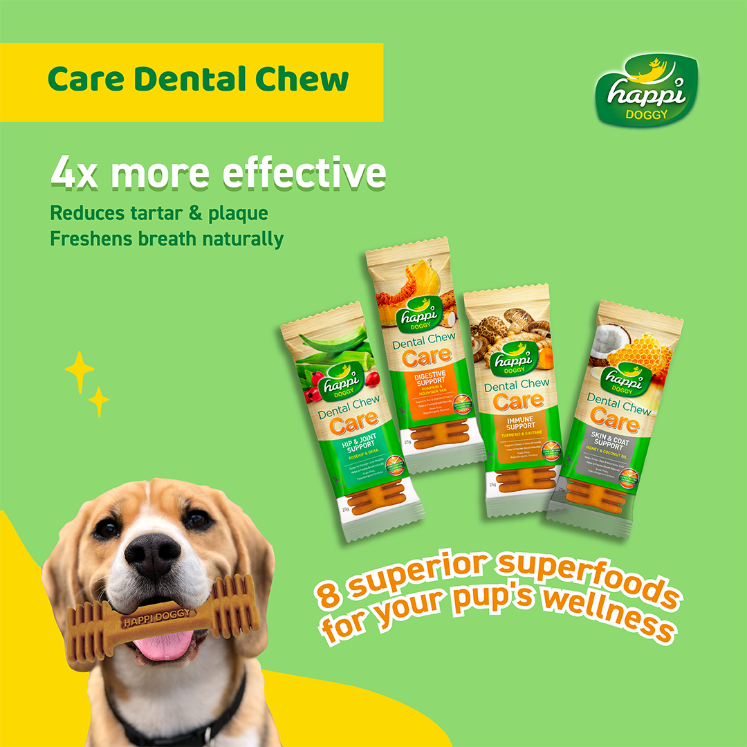 Happi Doggy Singles Combo (Pack of 6)-11