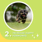 Happi Doggy Singles Dental Chew Dog Treat - Pack of 4-9