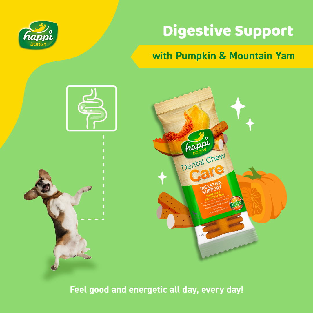 Happi Doggy Singles Combo (Pack of 6)-10