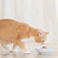 Schesir Tuna With Pineapple Wet Cat Food Can - 75 g - Heads Up For Tails