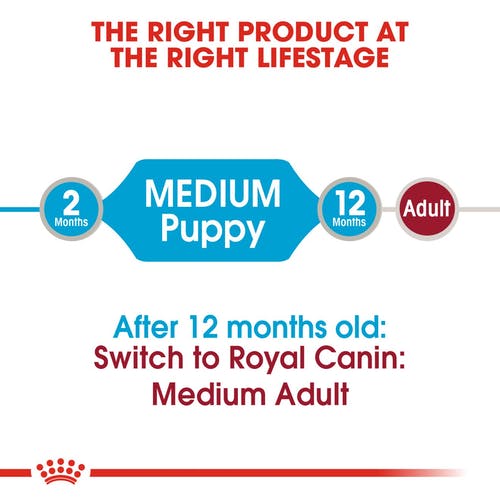 Royal Canin Puppy Medium Wet Puppy Food Box - 1.4 kg (10X140gms) - Heads Up For Tails
