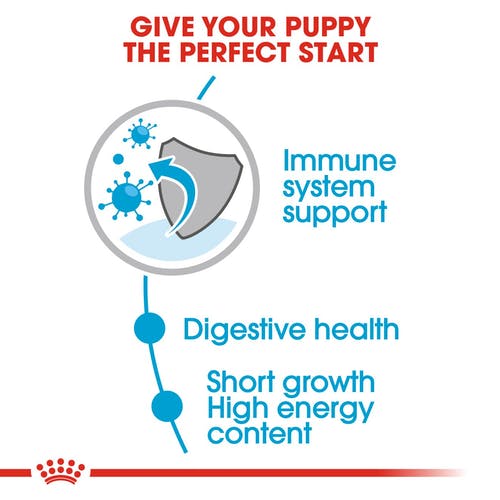 Royal Canin Puppy Medium Wet Puppy Food Box - 1.4 kg (10X140gms) - Heads Up For Tails
