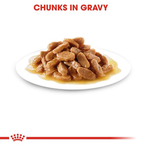 Royal Canin Puppy Medium Wet Puppy Food Box - 1.4 kg (10X140gms) - Heads Up For Tails