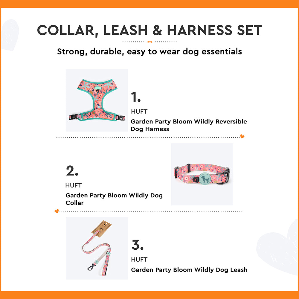 HUFT Bloom Nylon Dog Collar, Leash and Harness (Set of 3) - Heads Up For Tails